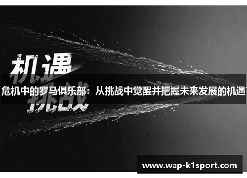 危机中的罗马俱乐部：从挑战中觉醒并把握未来发展的机遇