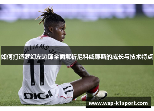 如何打造梦幻左边锋全面解析尼科威廉斯的成长与技术特点