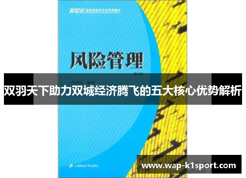 双羽天下助力双城经济腾飞的五大核心优势解析