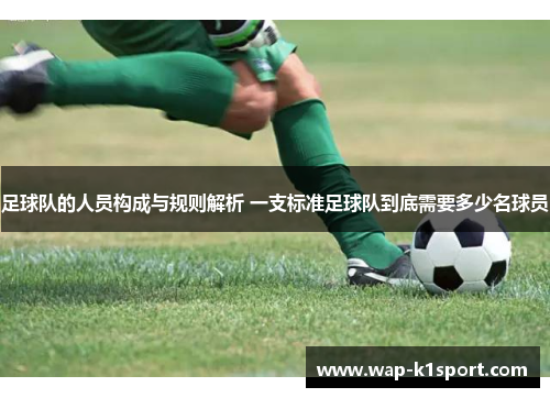 足球队的人员构成与规则解析 一支标准足球队到底需要多少名球员