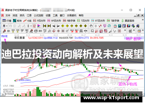 迪巴拉投资动向解析及未来展望