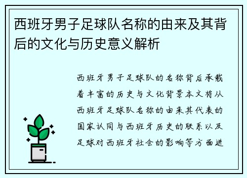 西班牙男子足球队名称的由来及其背后的文化与历史意义解析